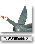 Eddie Mandaggio