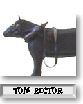 Tom Rector