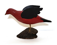 Red Bird