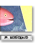 Mark Robichaud