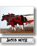 Jacob Roth