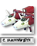 Carrol Slaunwhite