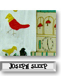 Joseph Sleep