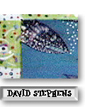 David Stephens