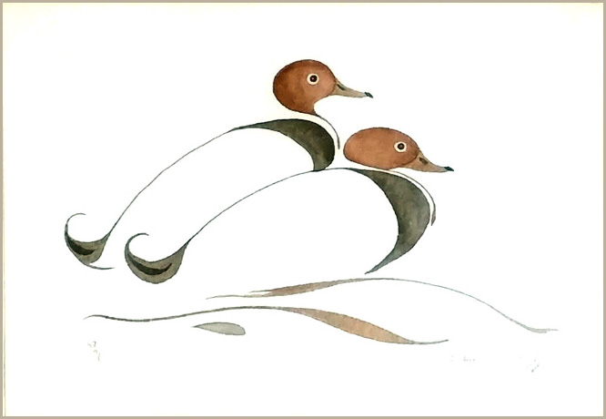 Eddie Cobiness Ducks