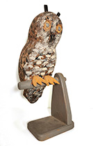 Horned Owl
