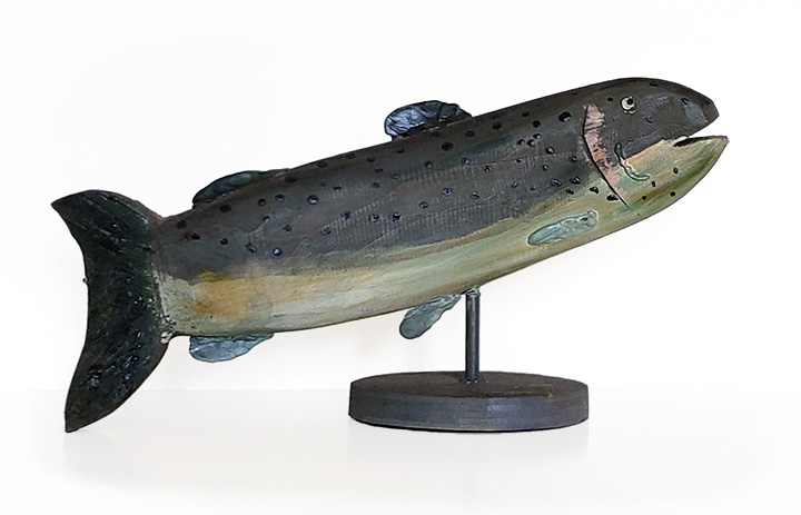 Larry Fancy Fish