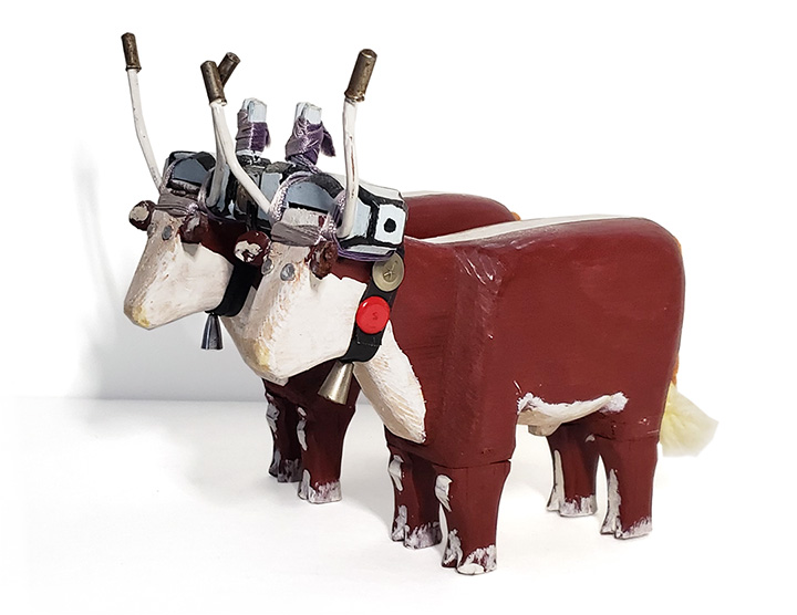 Oxen Team