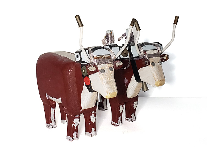 Oxen Team