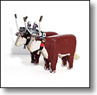 Oxen Team