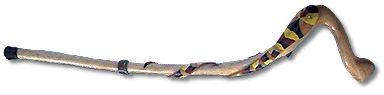 Cane