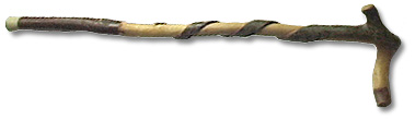 Cane