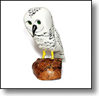 Snowy Owl